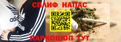 индика Можайск