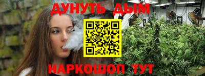 прущие крисы Можга