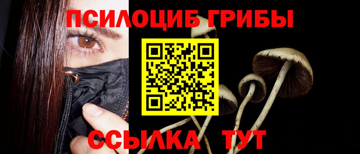 Электрогорск  Псилоцибиновые грибы мухоморы  Вход с VPN 